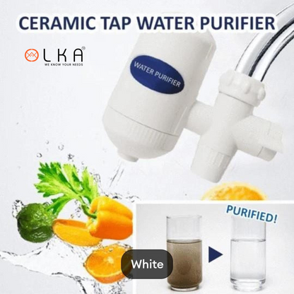 SWS WATER PURIFIER